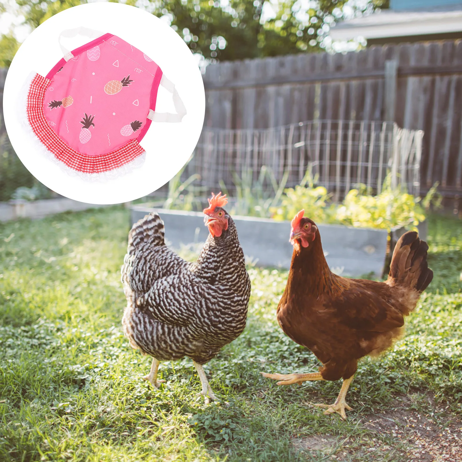 

Hen Apron Chicken Saddle Design for Chickens Hens Protection Adjustable Elastic poultry vest festival pet vest