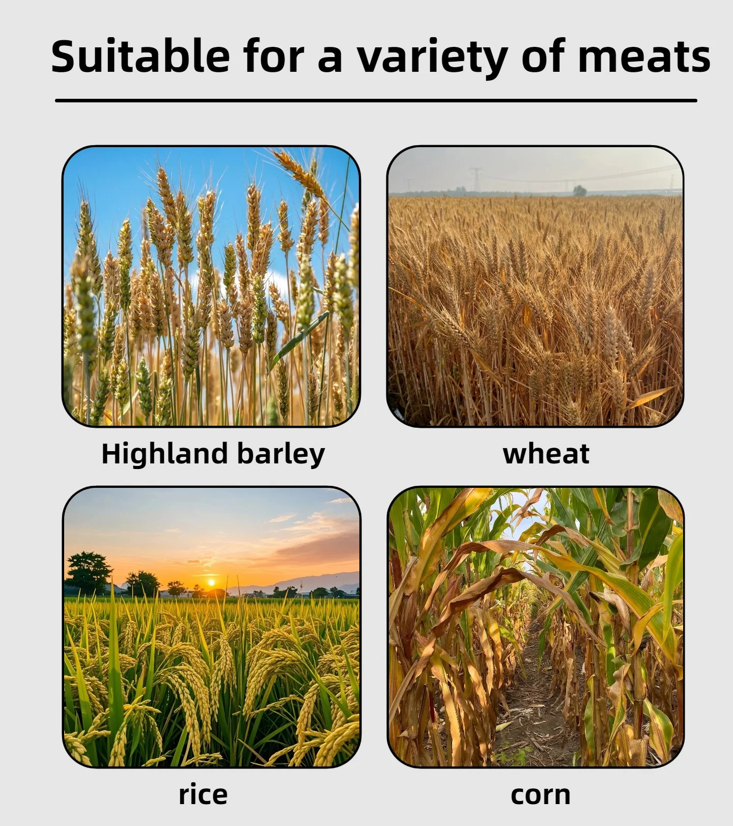 Foreign Trade Export All - in - One Oat and Wheat Harvesting and Baler Machine Barley Baler Mugwort Cutter and Swather
