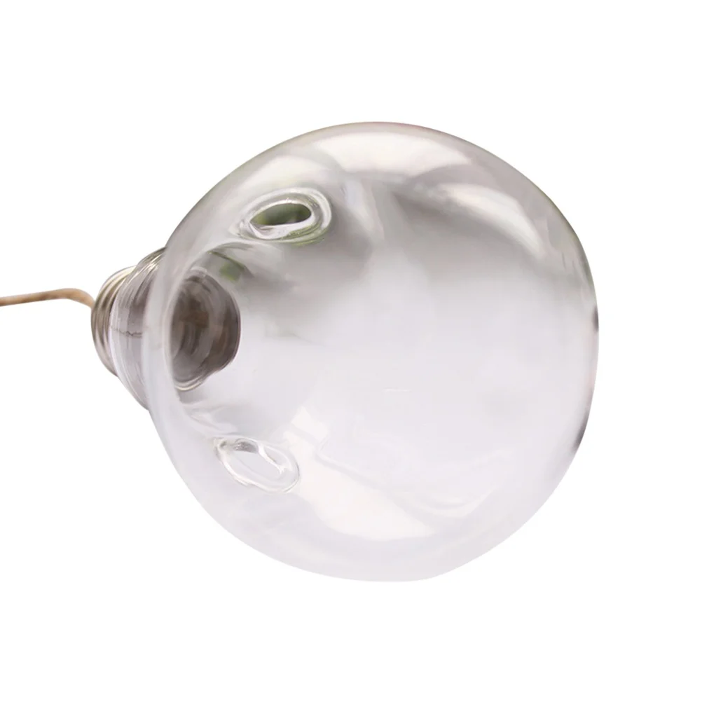 

Glass Lightbulb Planter Wall Hanging Planters 2 Holes Round Glass Plant Pots for Plants Home Decoration