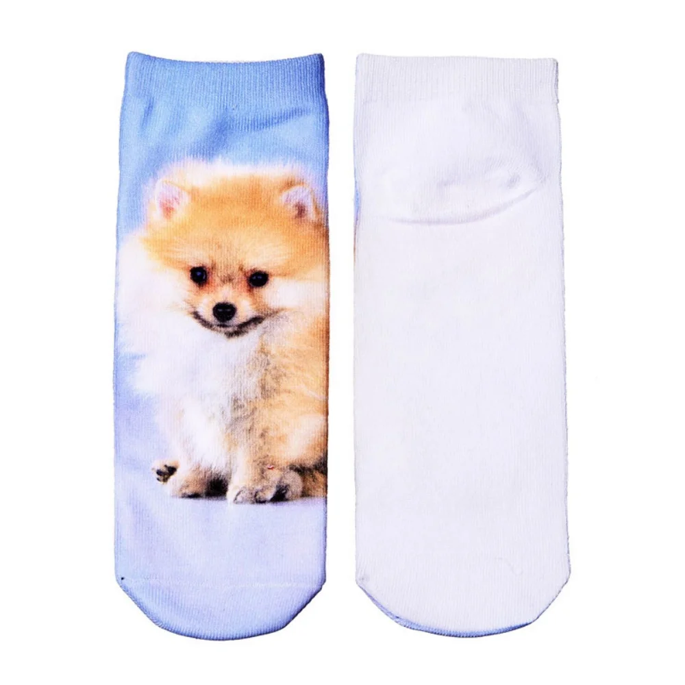 Neue 3D-Druck Tier Mode Tiger Panda Katze Hund Löwe Süßigkeiten Fleisch Kunst Bunte Frauen Lustige Socken Neuheit Geschenk Dropship – Detail 16