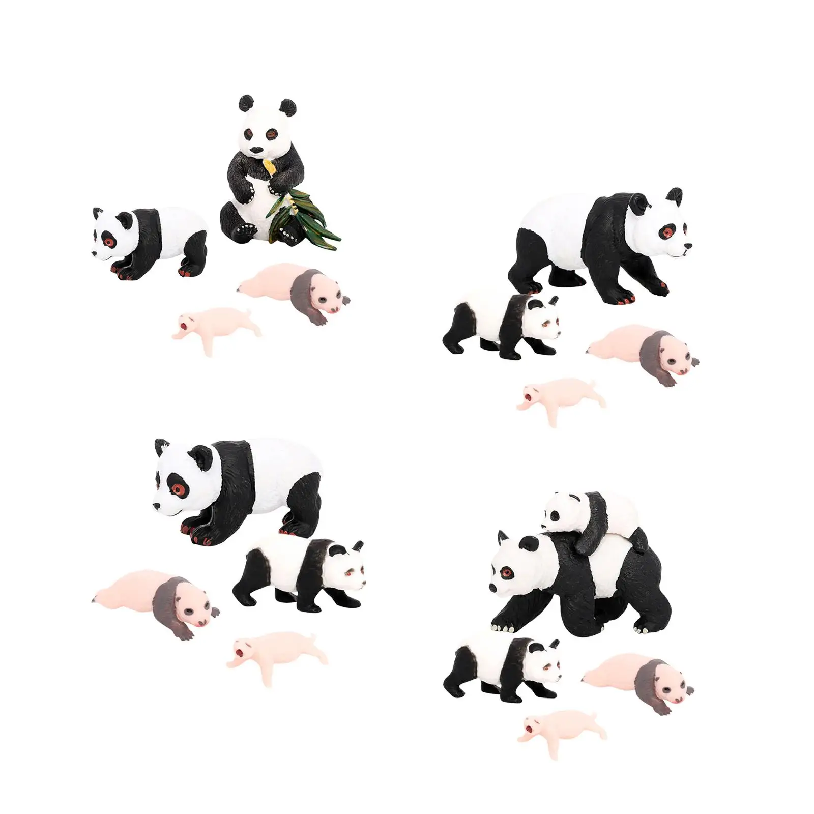 4pcs Panda Animal Life Cycle Model Classroom Accessories Educational Toys Panda