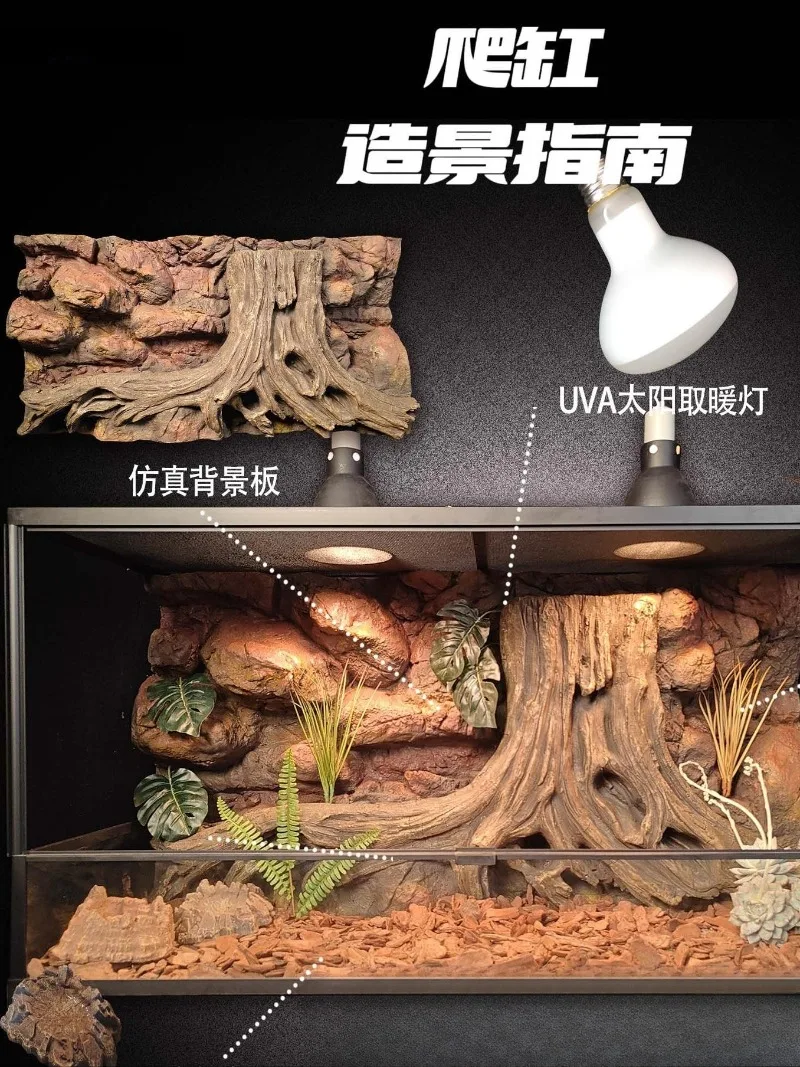 Reptile Tank Landscape Panel Rainforest Desert, Pets and Gardening  Other Pet Supplies Other Pet Peripherals
