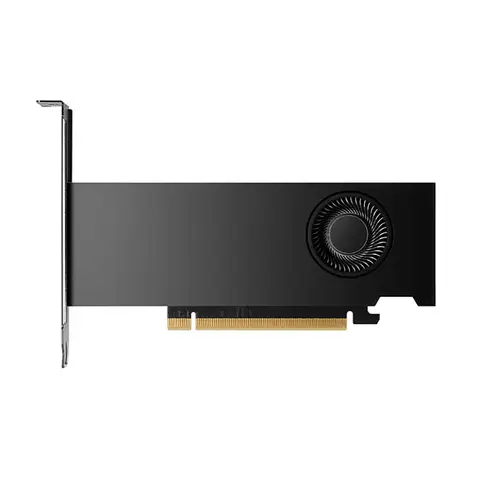 Scheda grafica professionale NVIDIA RTX 2000 Ada, GDDR6 ECC da 16 GB, GPU a basso profilo per modellazione 3D/CAD/rendering/flussi di lavoro AI