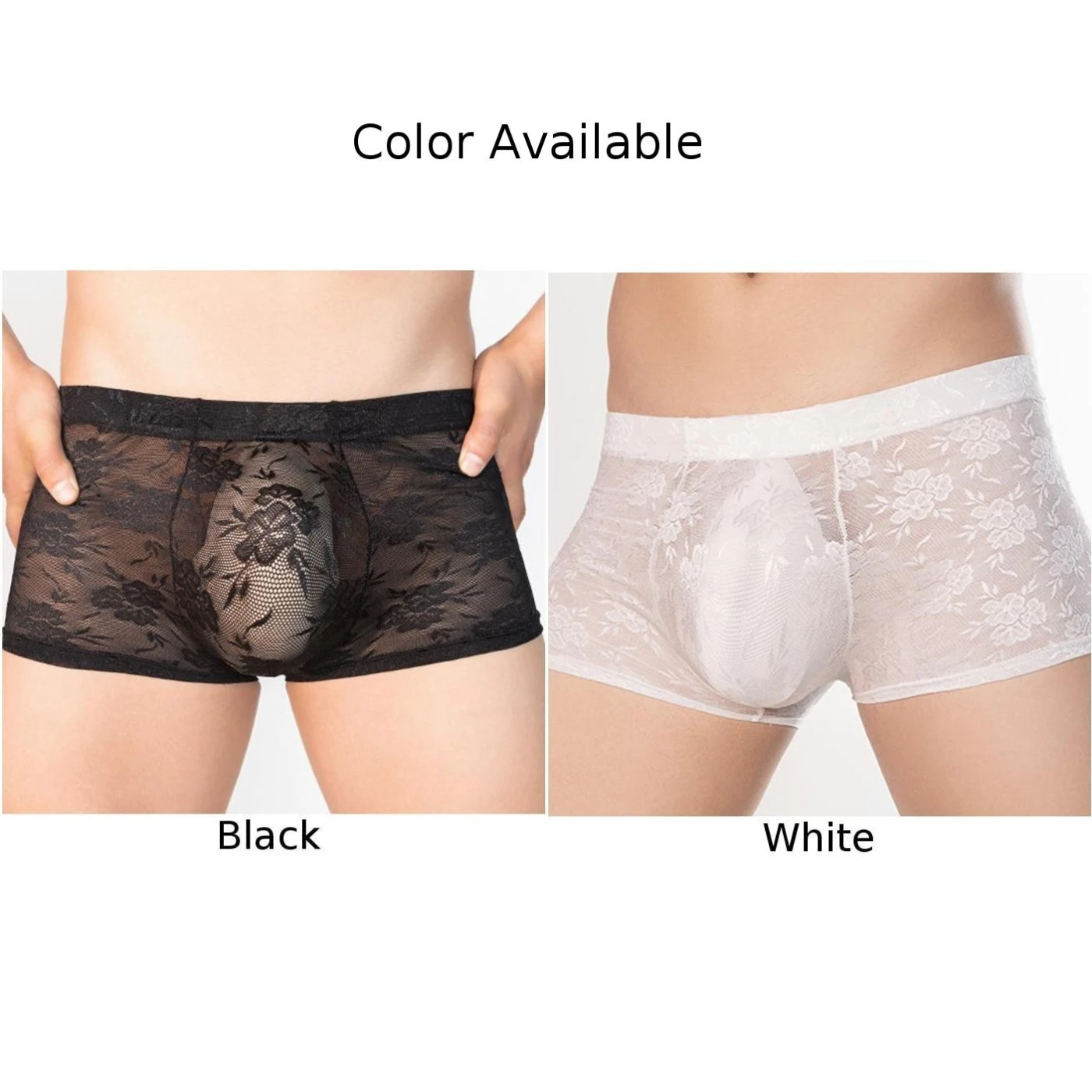 Mens Mesh Sheer Briefs Low Waist Underwear Lace Pouch See Through Panties Seamless Elastic Underpants Exotic Lingerie