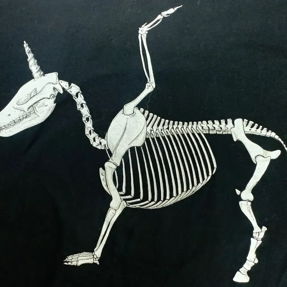 Gently Used Skeleton Unicorn T Shirt Medium