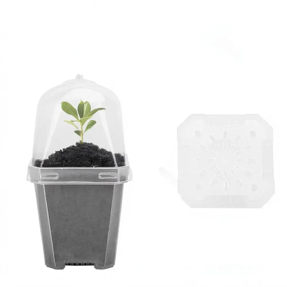 Succulent Starter Tray Humidity Control Box Plant Germination Container For Indoor Nursery Flower Growing Equipment
