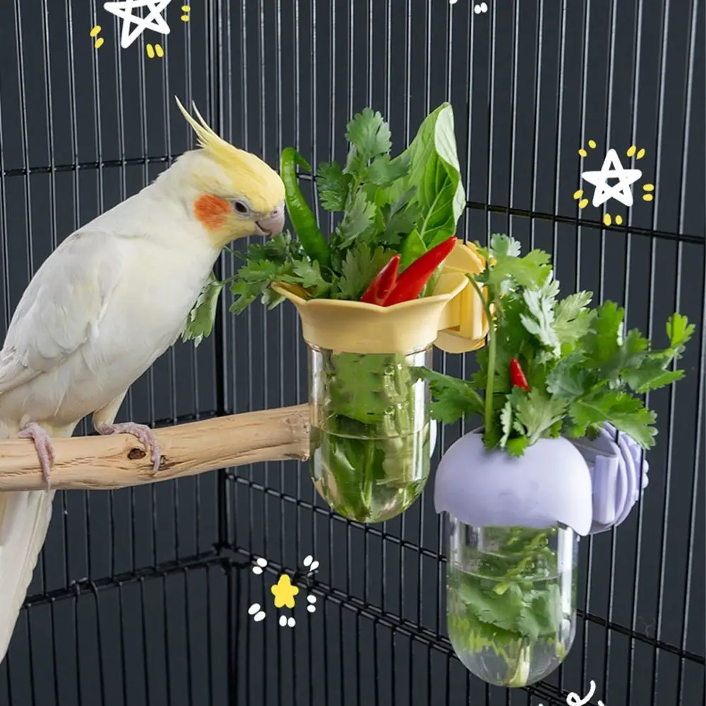 

Transparent Parrot Flower Hydroponic Bottle Eco-Friendly BPA-Free Parrot Feeding Device Reusable Flower Arrangement Jar