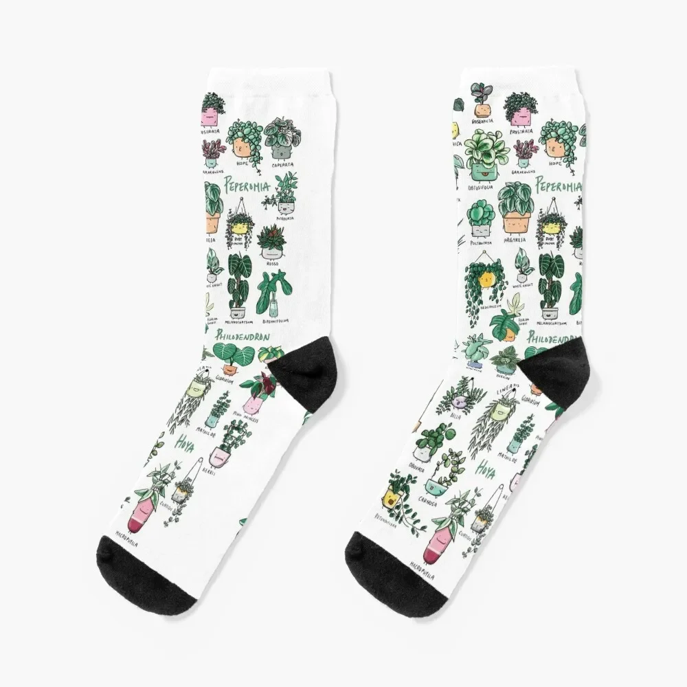 

Plant Families Socks short Stockings man summer Hiking boots Men Socks Luxury Brand Women's