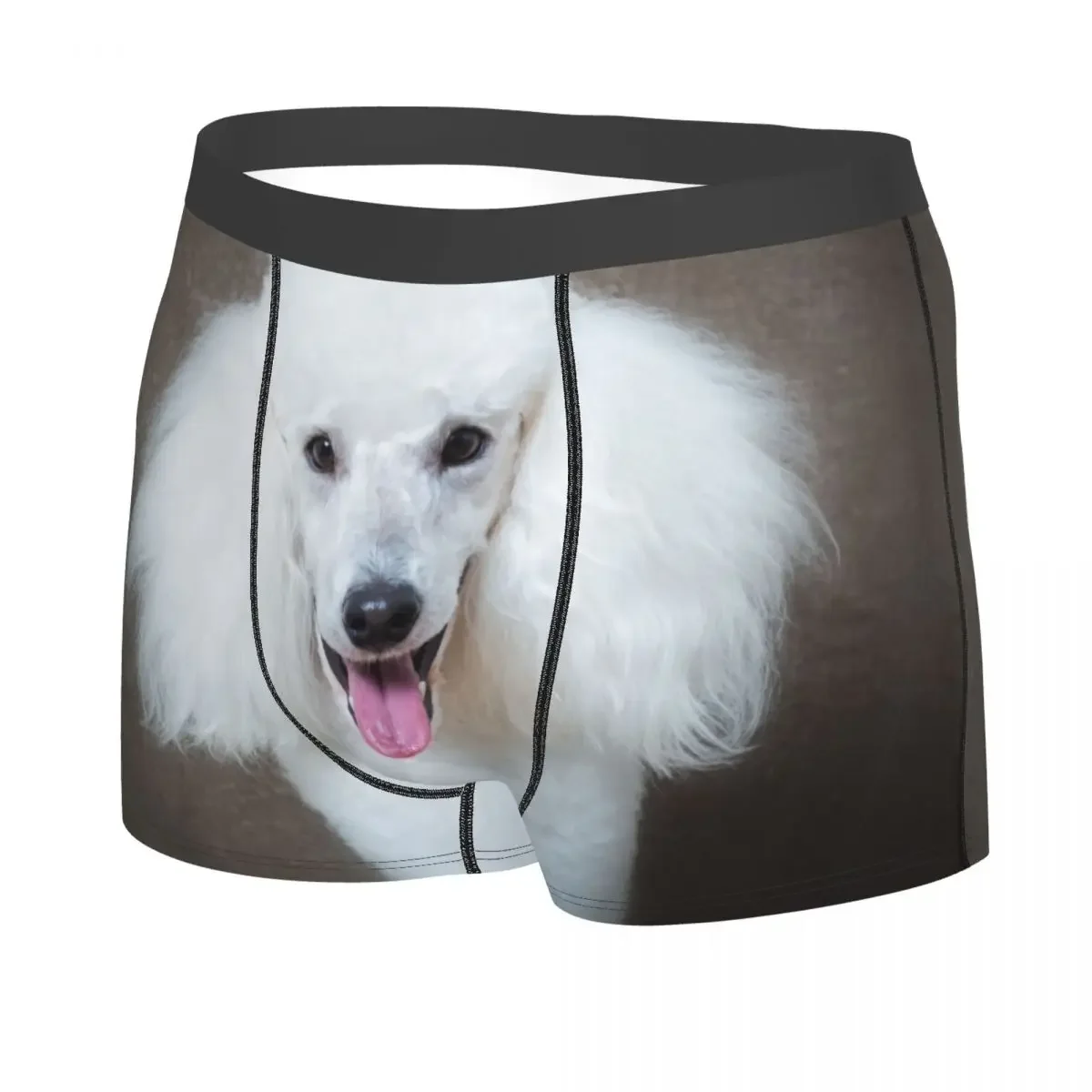 Male Fashion Kawaii White Poodle Dog Underwear Pet Pattern Boxer Briefs Breathbale Shorts Panties Underpants