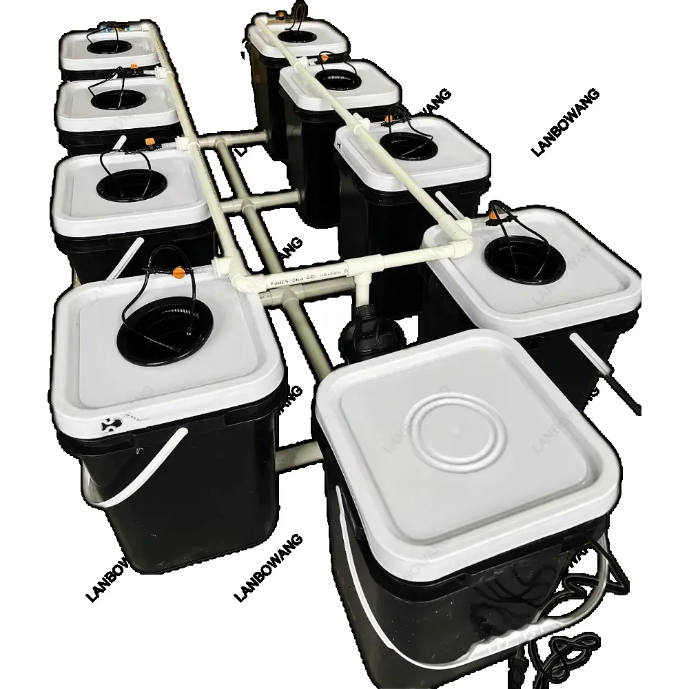 Home Balcony RDWC Soilless Cultivation System Bucket Planting Hydroponic Growing Equipment