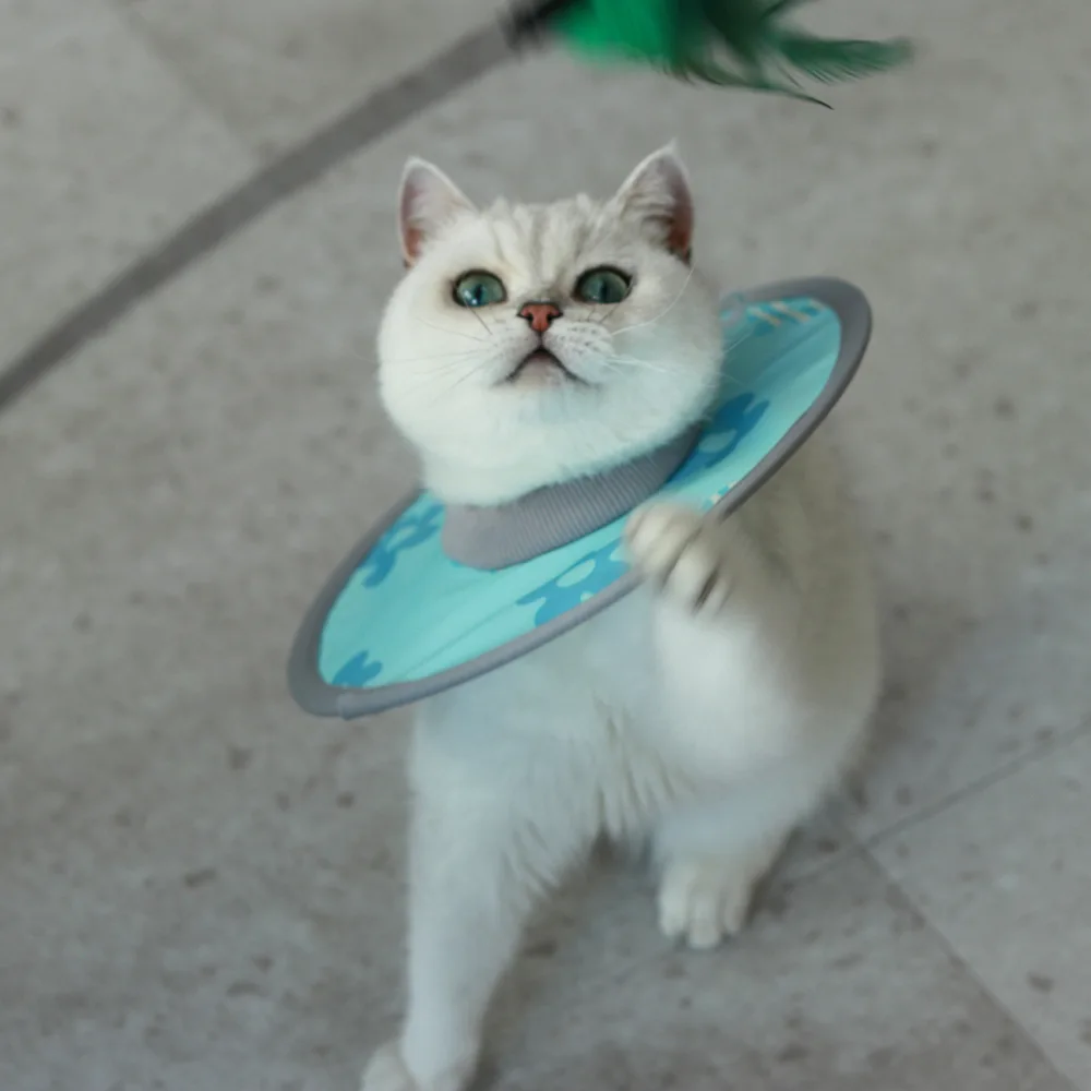 

Soft Cat Recovery Collar Anti Licking Protective Adjustable Pet Cone Collar for Cat Kitten After Surgery Grooming 1PCS