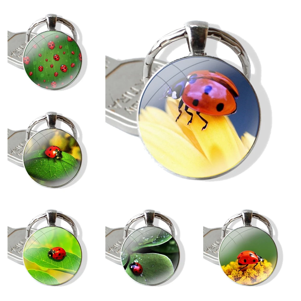 Four Leaf Ladybug 25mm Glass Cabohcon Keychain Key Rings for Women Men Jewelry Gift