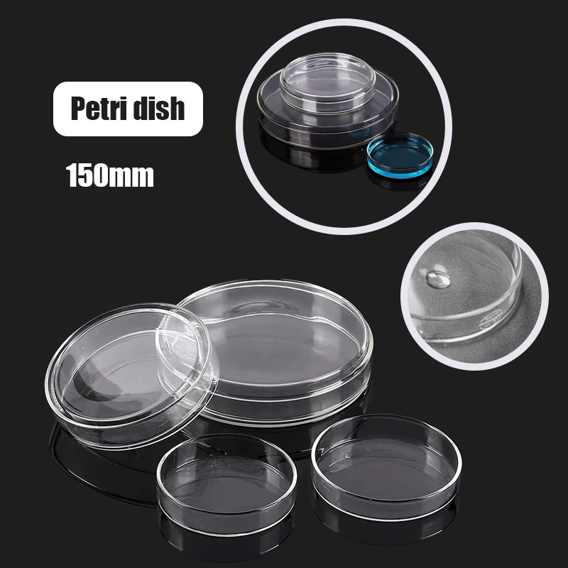 petri bacterial culture dish prato de vidro de borosilicato suprimentos de laboratorio bandeja de alimentador recipiente redondo 150 mm 01