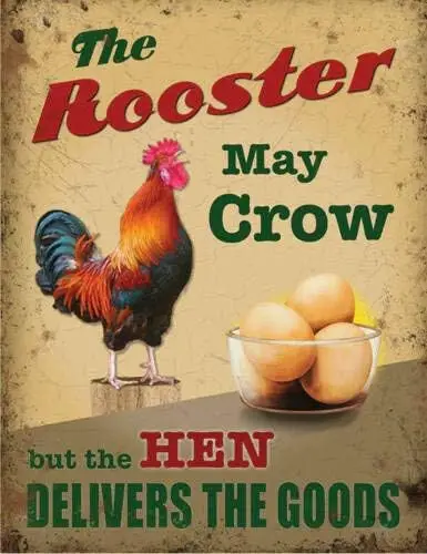 DAOLEG Vintage The Rooster May Crow But The Hen Delivers The Good Wall Decor Man Cave Bar Us United States Rustic Metal Tin Sign