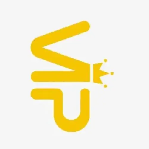 

VIP 2 Supplemental payment, 156 pcs Necklace