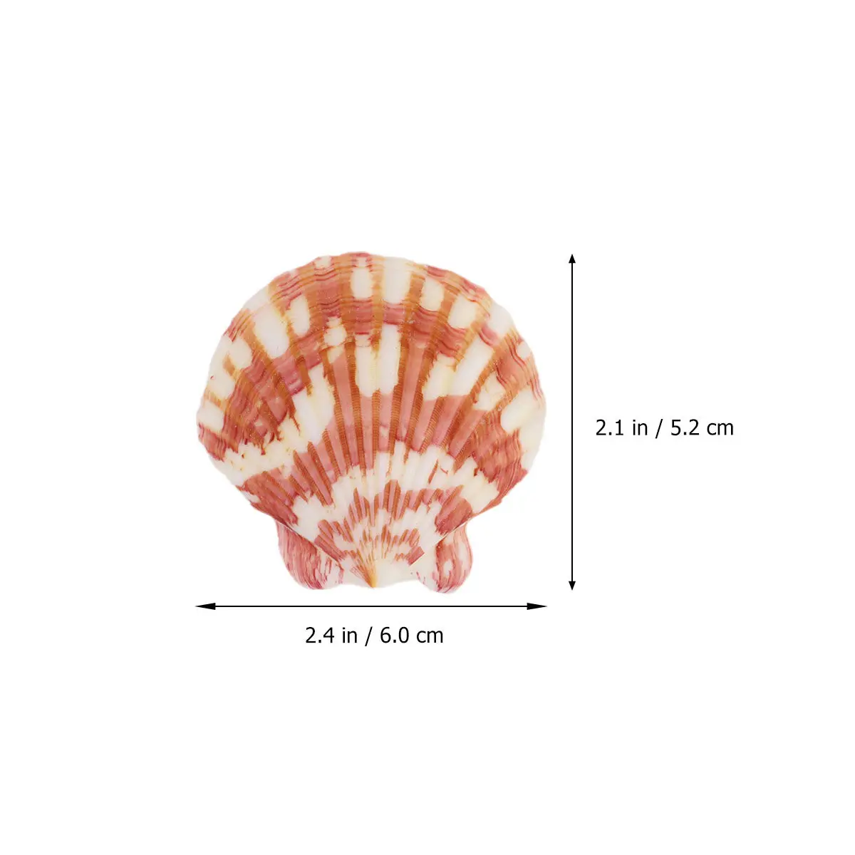 250G Natural Shell Conch Ornament Mixed Sea Style Fish Tank Aquarium Decoration DIY Photo Frame Landscape Accessories
