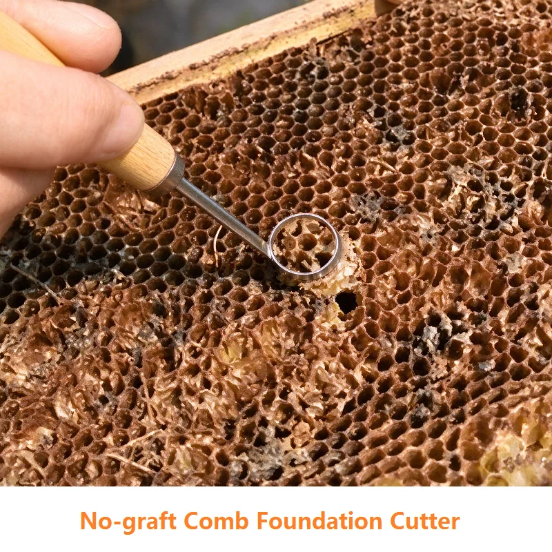 No-graft Queen Rearing Kit Comb Foundation Cutter For Queen Bee Rearing Bee Extractor Tool Cutting Beehive Beekeeping Equipment
