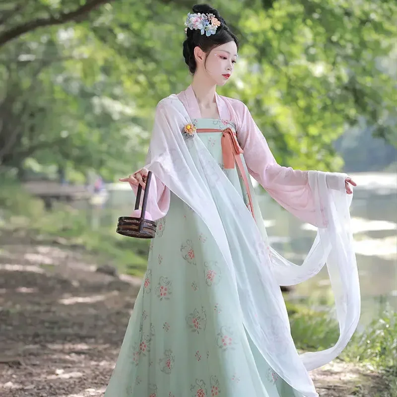 

Women Chinese Traditional Hanfu Costume New Style Lady Tang Dynasty Dress Princess Folk Dance Clothing