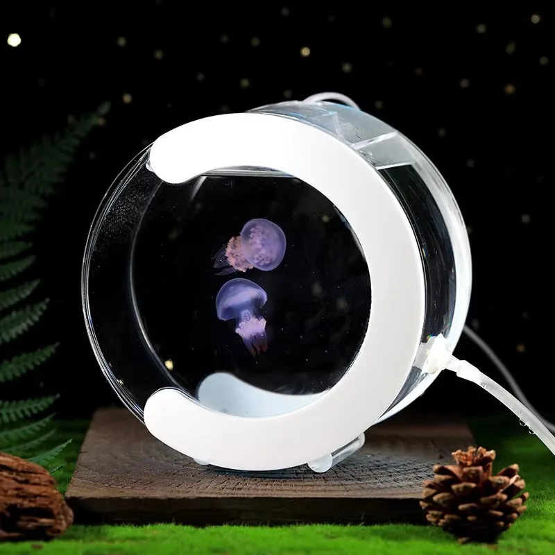 

Contemporary Design Free-Standing Glass Fish Tank Luxury Home Decoration Aquarium Accessories for Middle Lamp Size for Bedroom