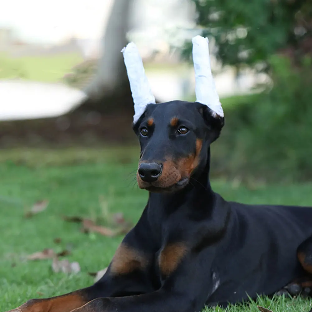 10pcs Doberman Pinscher Pet Ear Support Dog Ear Standing Rods Dog Accessory Ear Erecting Stick Device Accessory with Tapes dog