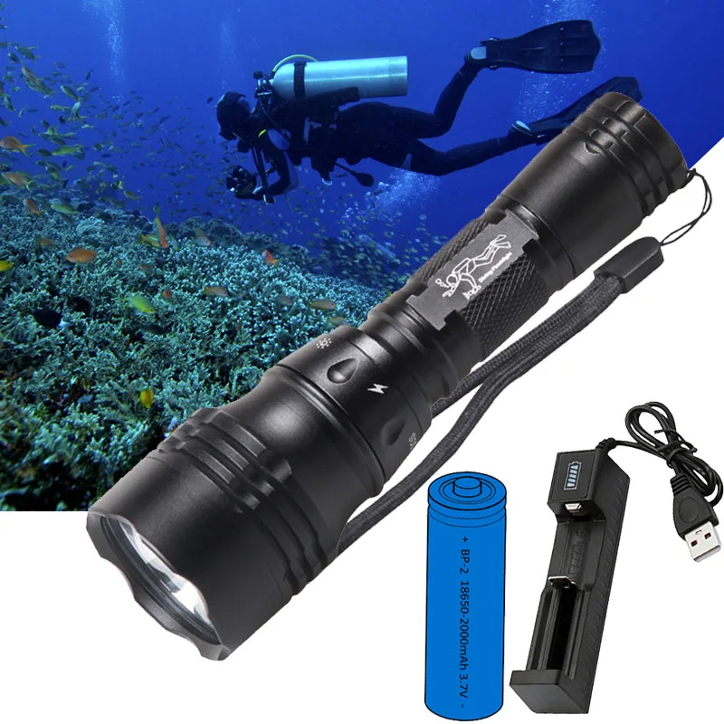 Diving Lamp Portable 10W T6 L2 LED 18650 Underwater Fishing Lantern 1000 Lumen Waterproof Flashlight Torch with USB Charger