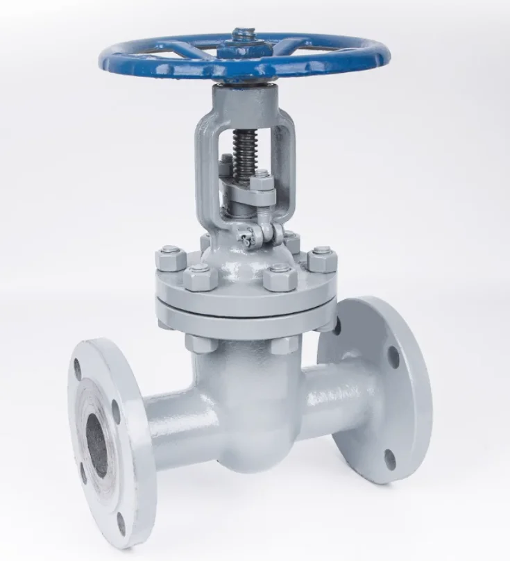 Cast Steel Manual Globe Valve With Bellow Seal PN16 PN25 Flange Type For Oil High Temperature Steam And Water Application