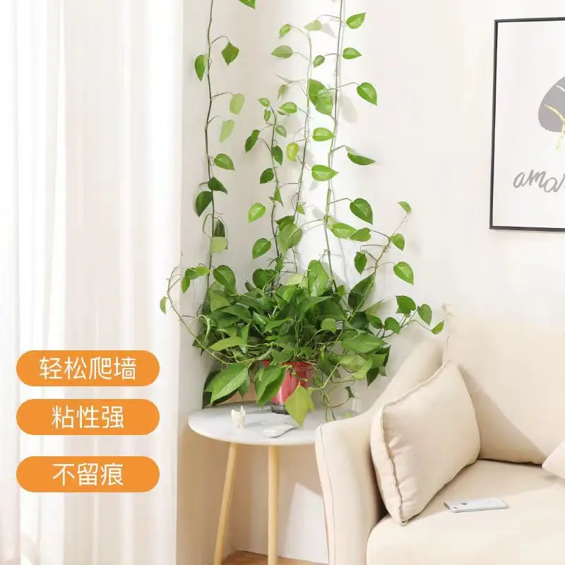 Green Retainer Green Plant Climbing Clip No Damage To The Wall Hook Strong Sticky Vine Climbing Pole Fast Delivery