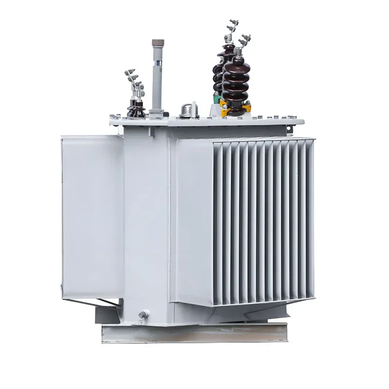 10 Kv 160 Kva professional oil immersed distribution transformer