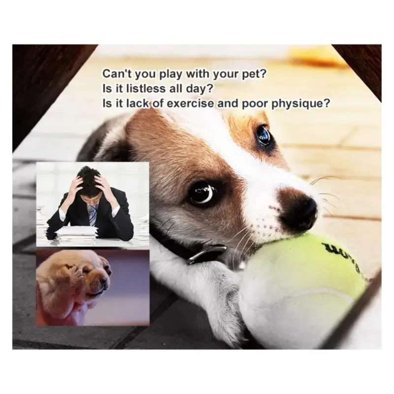 5cm Small Tennis Ball For Dog Chew Toy Pet Dog Interactive Toys Big Inflatable Tennis Balls Pet Supplies Outdoor Cricket Dog Toy