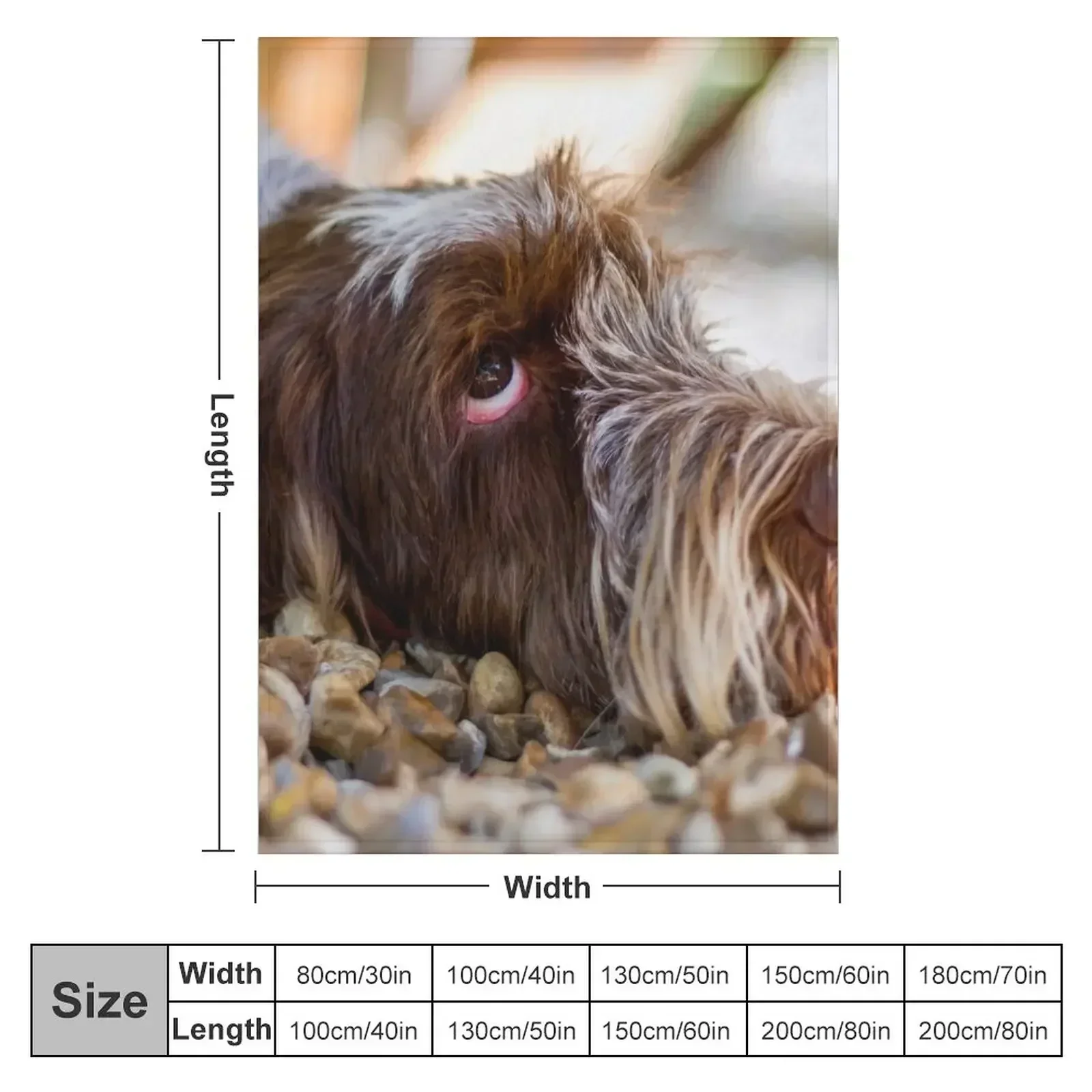 Looking up Spinone Throw Blanket Thermal Bed linens For Baby warm winter Cute Hairy Blankets