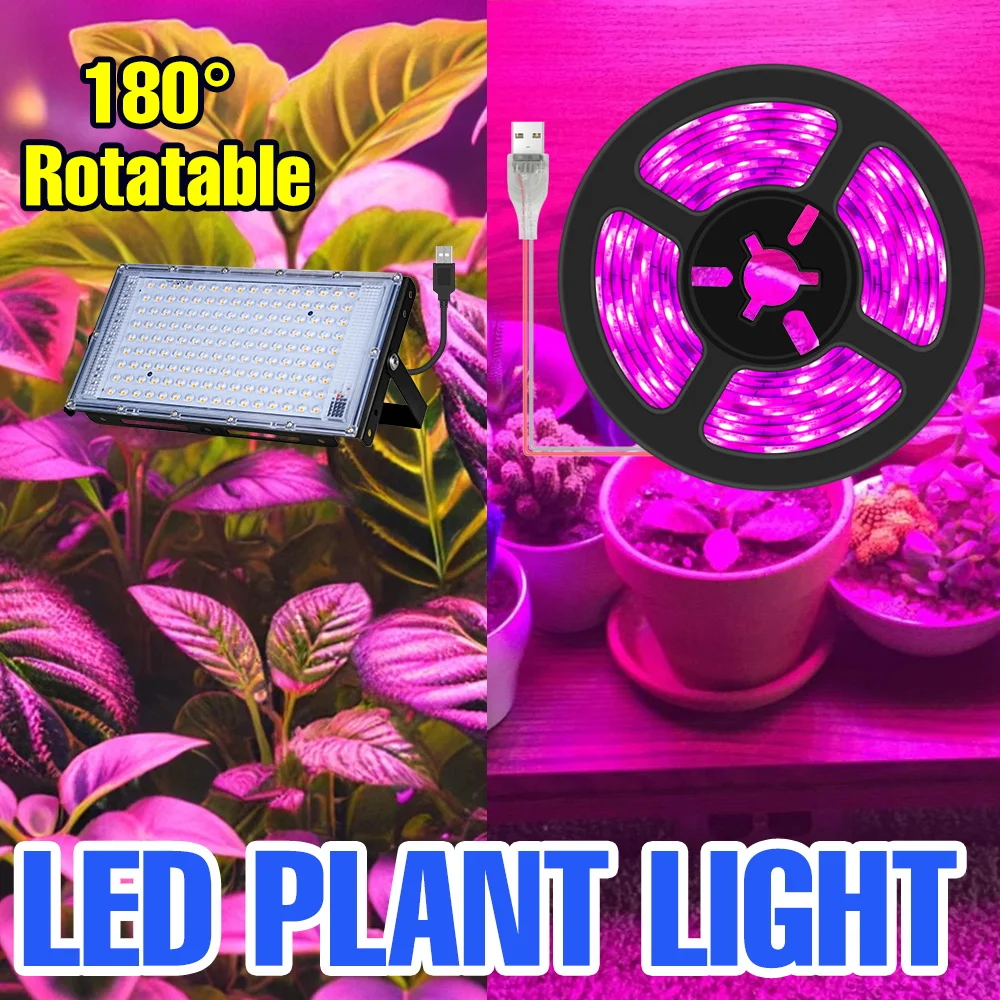 LED Grow Light 5V Full Spectrum Indoor Plant Cultivation Lamp USB Greenhouse Growth Tent Flowers Hydroponics Fill Lighting