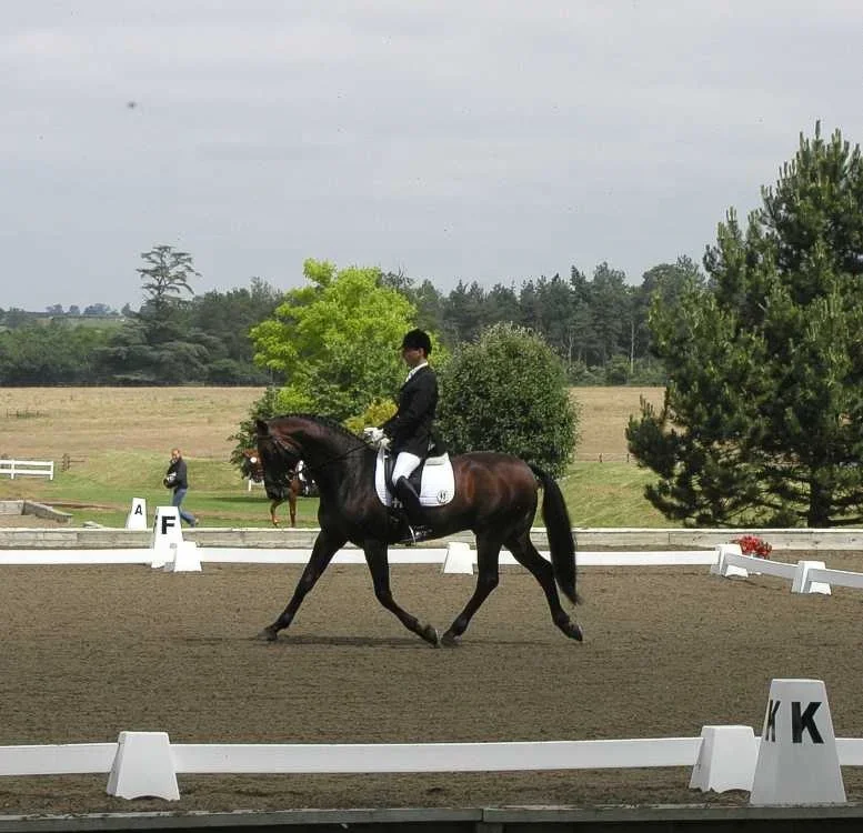 PVC Dressage Arena Fence,Horse Fence