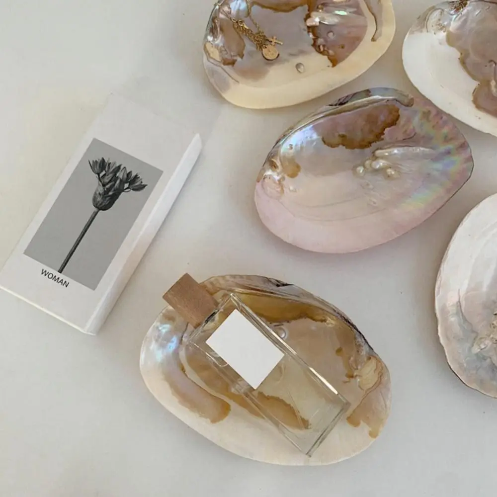 

Multifunctional Shell Shape Vibrant Color Home Decor Pretty Storage Container Art Craft Jewelry Storage Tray Storage Holder