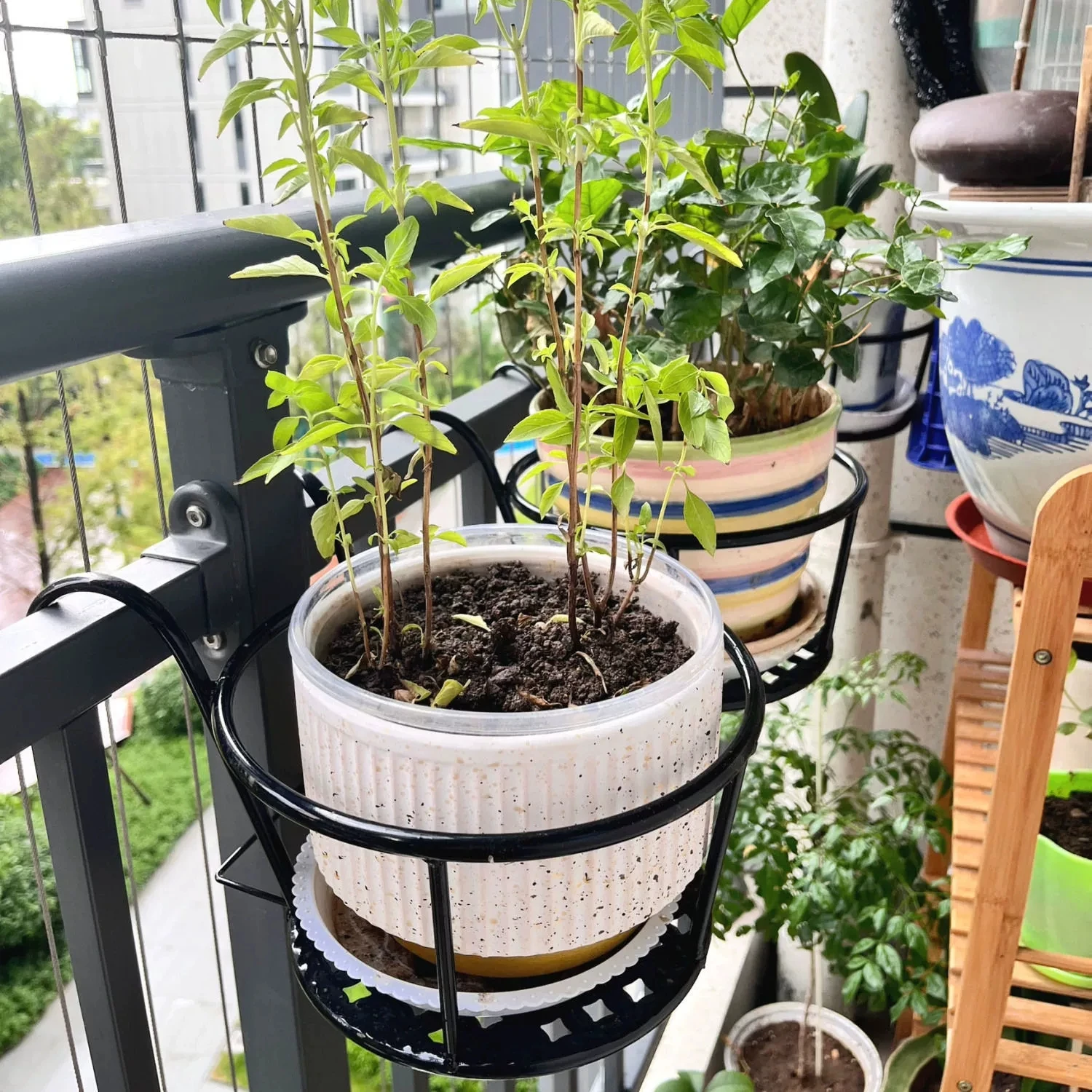 Wrought Iron Balcony Hanging F - Spider Plant Hanging review and price