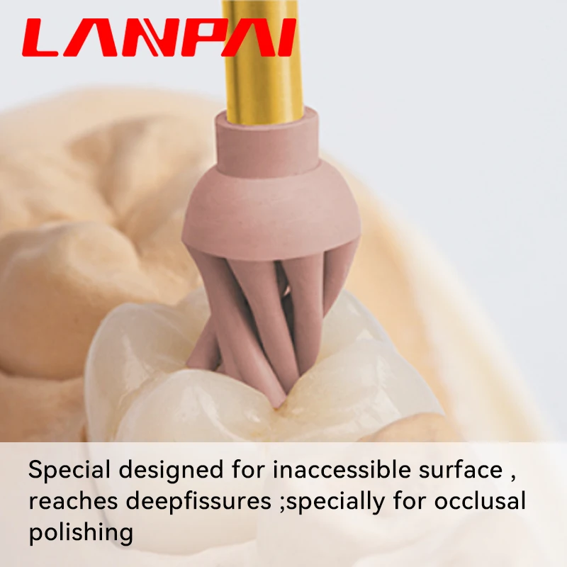 Lanpai Dental Rubber Diamond  Composite Resin Polishing RA Dentist Tools Dentistry Materails polish in polish