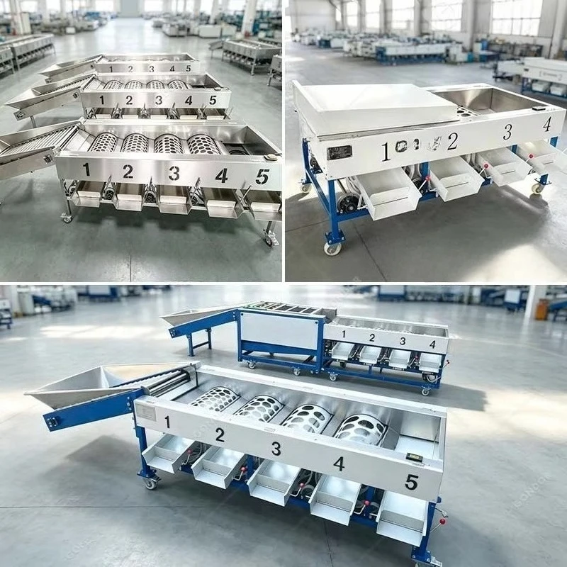 Sorter Peach Sweet Potato Quality Citrus Fruit Sorting Small Size Machine Grading Tomato Price Walnut for Mangosteen