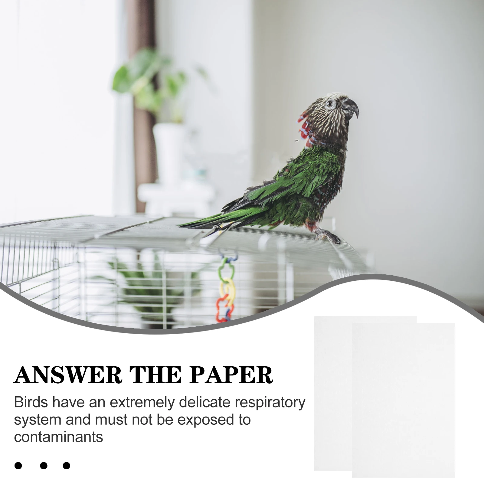 

100pcs Water Absorption Tray Disposable Liner Paper Cages Absorbent Pet For Parrot Cushion Cleaning Pad Bird Bottom Pad Pet