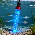 Blue 5V-12V