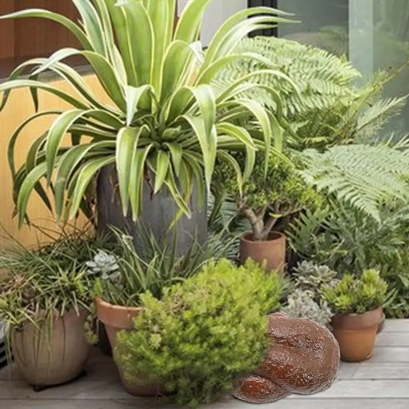 Hidder Sleutelhouder Voor Buiten Hars Sleutel Hider Creatieve Sleutelhouder Opbergdoos Grappig Vuurvast Klein Sleutelkastje