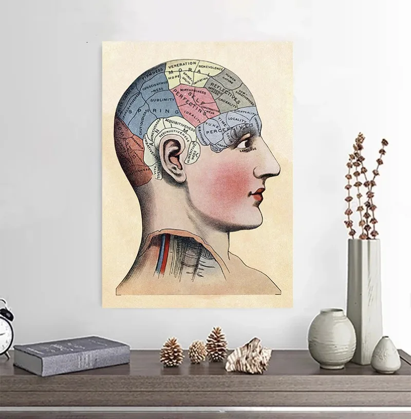 Santiago Ramon Y Cajal Neuron Drawing Vintage Poster Brain Anatomy Wall Art Canvas Print Neuroscience Biology Illustration Decor view 2