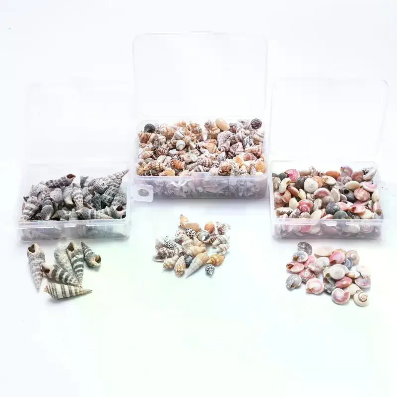 1-коробка-морские-ракушки-спиральная-ракушка-крошечные-океанские-спиральные-ракушки-поделки-украшения-для-аквариума-аксессуары-для-ландшафтного-дизайна-реквизит-для-фотосъемки