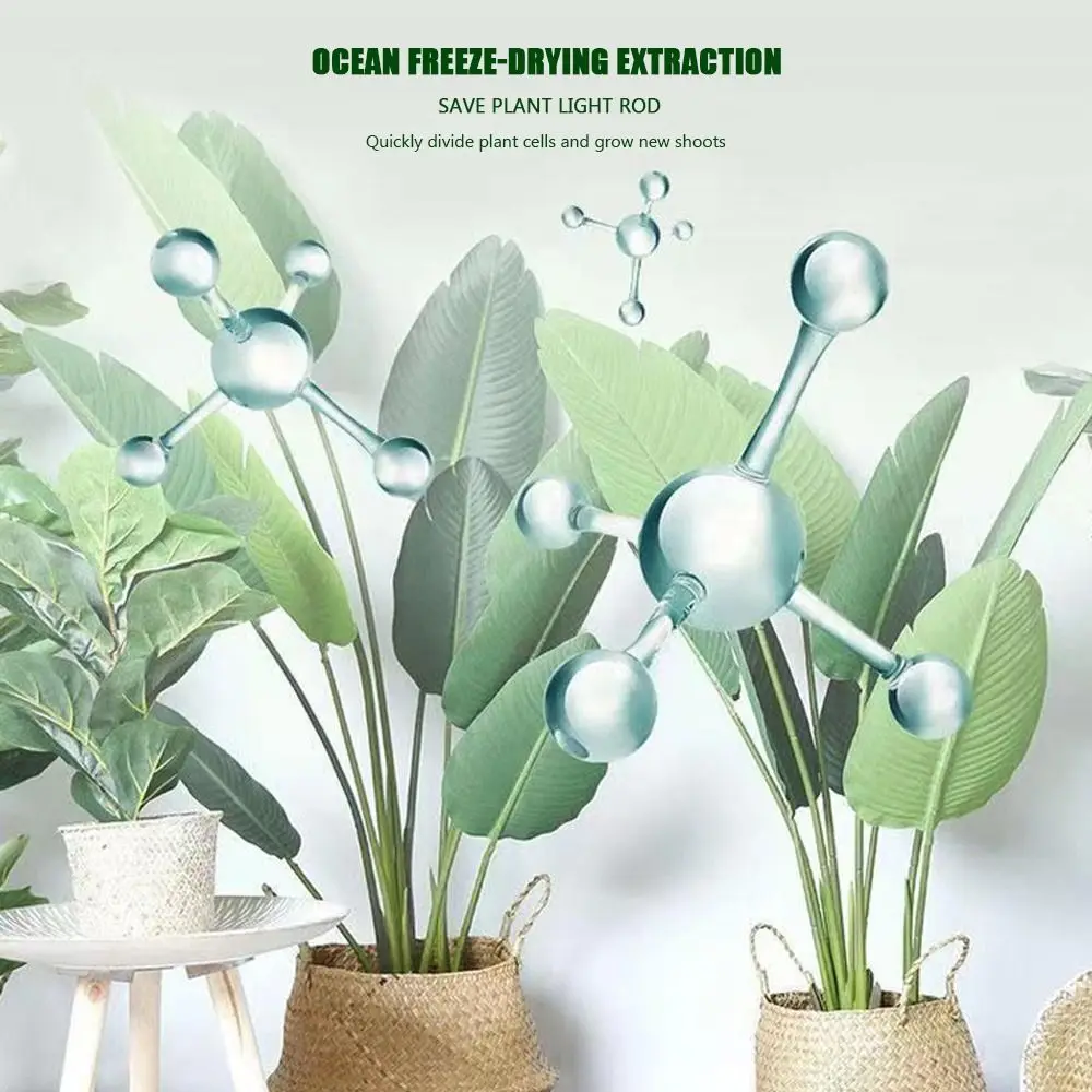 Root Stimulator Plant Resurrection Liquid Liquid Vegetable Fertilizer Root Booster 50ml Root Booster Rooting Nutrient