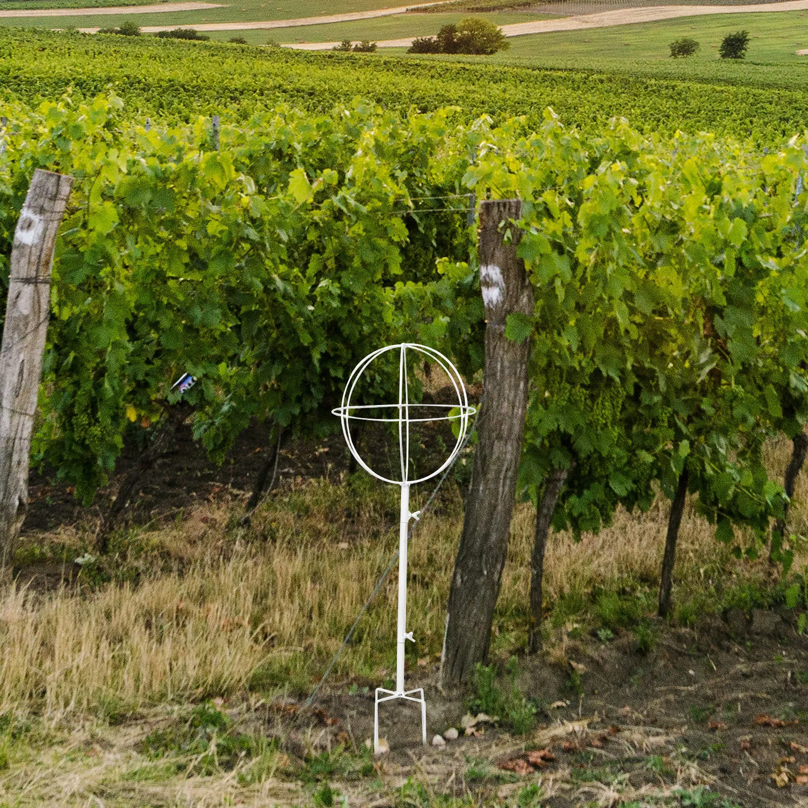 

Metal Plant Trellis for Climbing Vines Strong Rustproof Support Rack for Roses Peas Morning Glories Garden Trellis Indoor