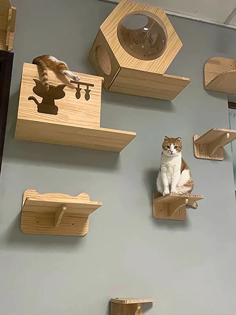 Wall Mounted Cat Tree Wooden Shelves Scratching Posts Climbing Cat tower Hammock With Solid Floating Perches Steps and Ladder