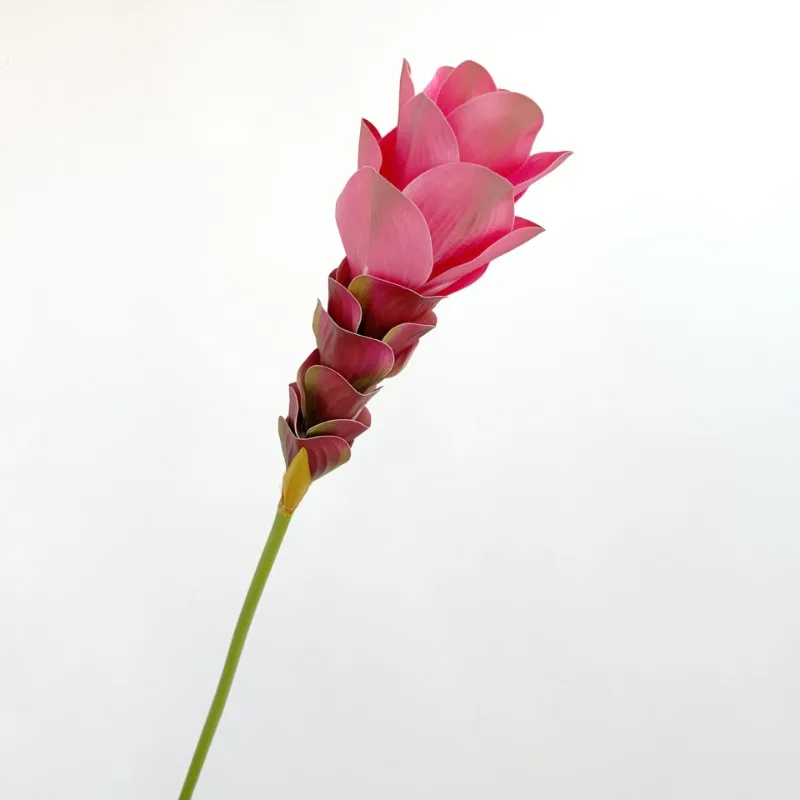 Simulierte Ingwerblume mit Farbverlauf, langer Zweig, künstliche Seidenblume für DIY-Party, Hochzeit, Raumdekoration, Hotel, ländliche Dekoration – Detail 4