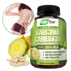 Garcinia Cambogia Supplements Can Help Maintain A Healthy Diet, Healthy Energy Levels, Metabolism, and A Sharp Mind