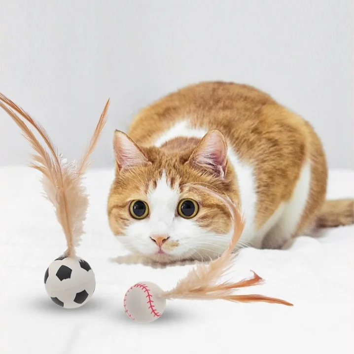 

Interactive Pet Ball Toy Bouncy Exercise Cat Toy with Throw and Tease Features Ball-Shaped Pet Toy