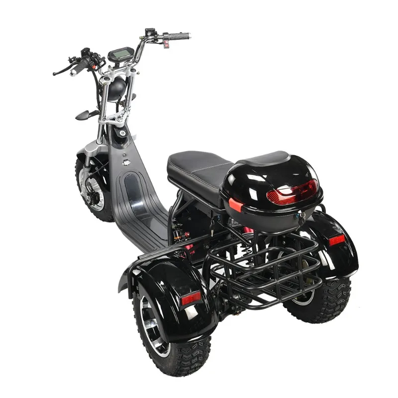 1500w3000w High Power 45km/h Fast Long Range Adult Tricycle 3 Wheel Electric Bike Trike Motorcycle