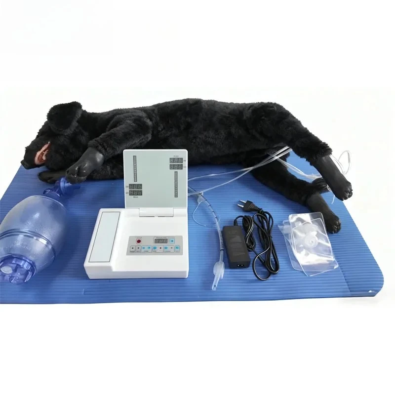 Medical Science Dog Cpr and Intubation Manikin  Medical Training Mannequins