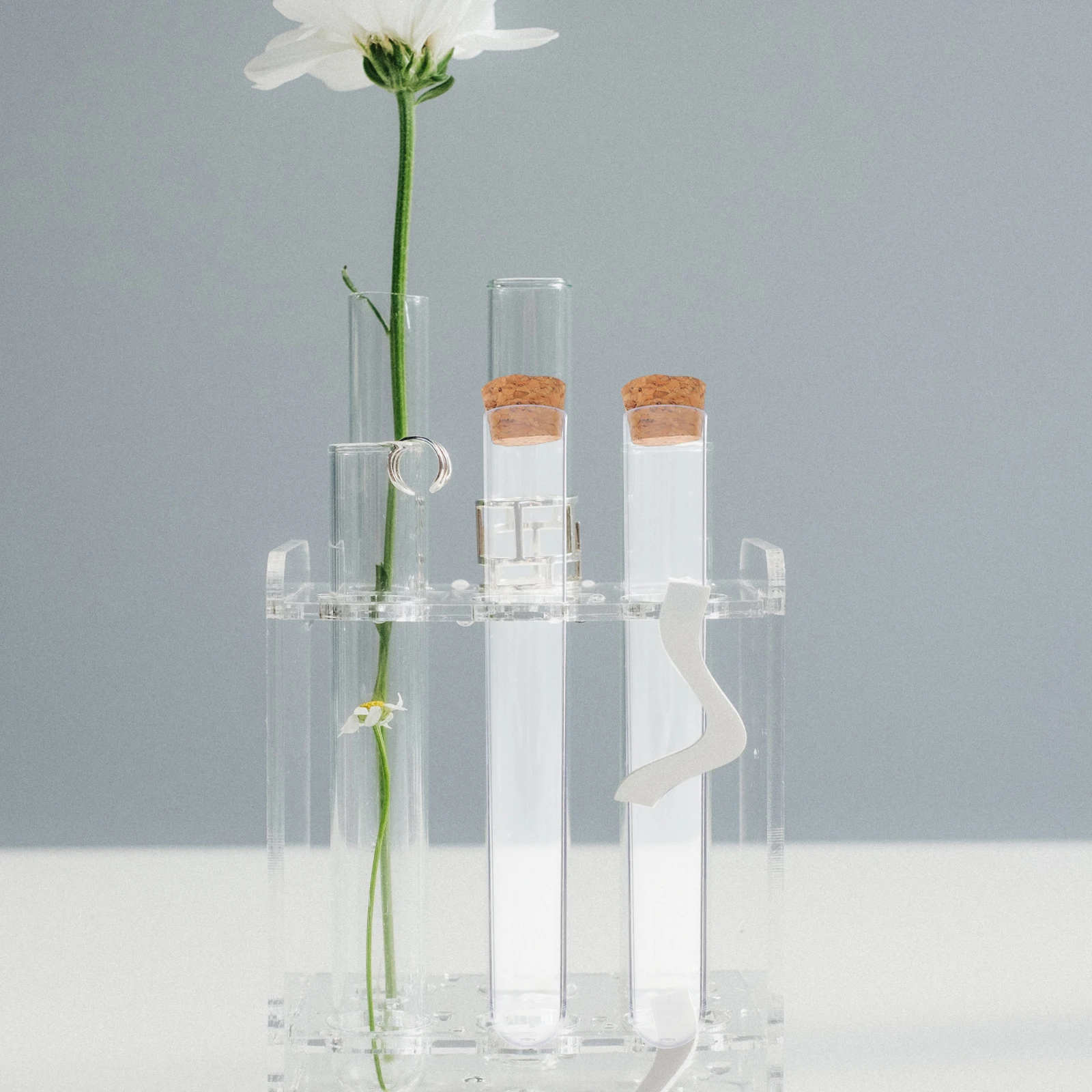 

25pcs Transparent Small Plastic Tubes Cork Stoppers Leak-Proof Storage Vials Bath Salts Essential Oils Sample